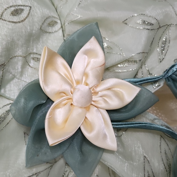 Tiana dress up dress - Picture 3 of 8